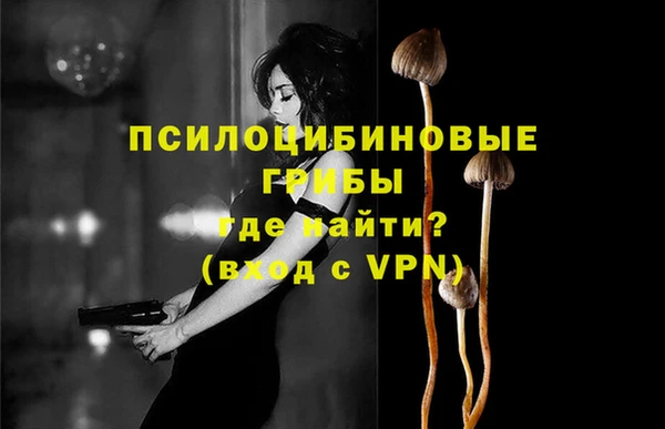 тгк Армянск