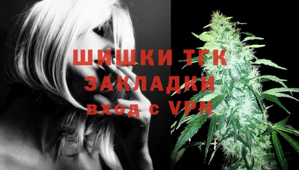 тгк Армянск