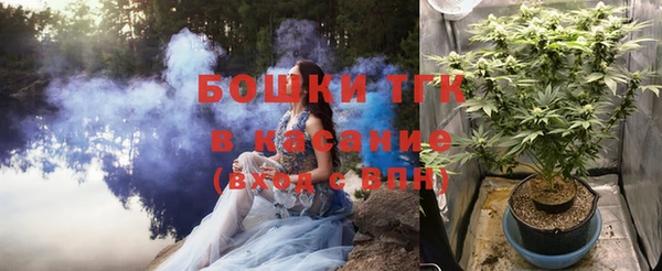 эйфоретик Арсеньев