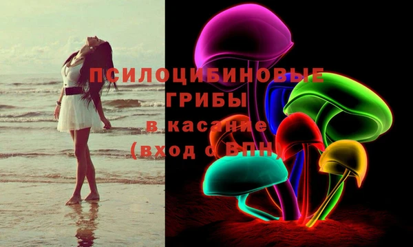 эйфоретик Арсеньев