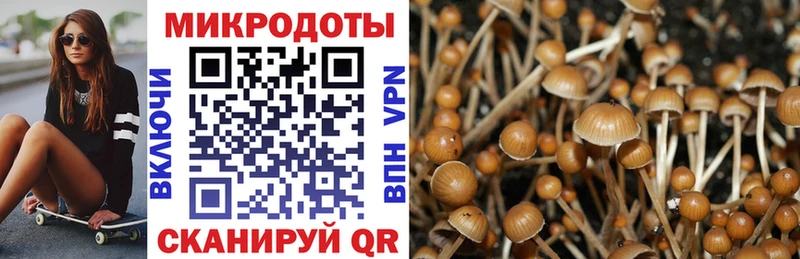 darknet формула  наркота  Саратов  Псилоцибиновые грибы Psilocybine cubensis 